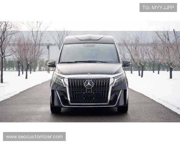 奔驰在线娱乐带你体验豪华车文化与高端娱乐的完美结合,尽享尊贵体验