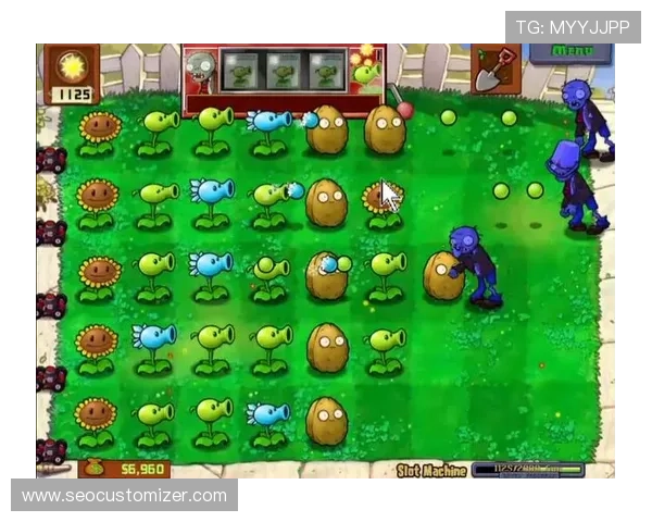 顶级老虎机：探索最受欢迎的高端游戏体验带你领略顶级老虎机的极致魅力与豪华玩法